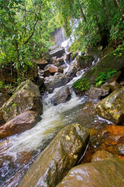 Waterfall, Sinharaja National Park Rain Forest, Sinharaja Forest Reserve, World Heritage Site, UNESCO, Biosphere Reserve, Sri Lanka, Asia