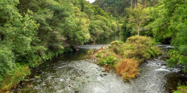 Fragas do Eume Doğal Parkı, Pontedeume, La Coruna, Galiçya, İspanya, Avrupa