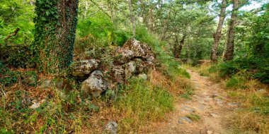 Lago de Sanabria y Sierra Segundera y de Porto Doğal Parkı, Zamora, Kastilya ve Leon, İspanya, Avrupa