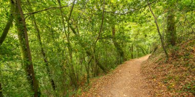 Fragas do Eume Doğal Parkı, Pontedeume, La Coruna, Galiçya, İspanya, Avrupa