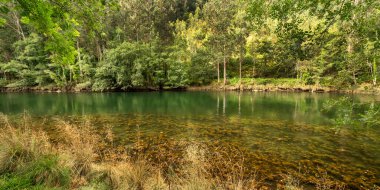 Fragas do Eume Doğal Parkı, Pontedeume, La Coruna, Galiçya, İspanya, Avrupa