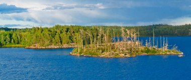 Stockholm Archipielago, Stockholm Fjord, Baltık Denizi, Stockholm, İsveç, İskandinavya, Avrupa