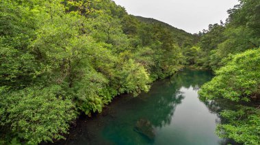 Fragas do Eume Doğal Parkı, Pontedeume, La Coruna, Galiçya, İspanya, Avrupa