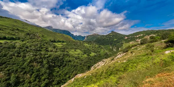 Bergkette Picos Europa Nationalpark Asturien Spanien Europa — Stockfoto