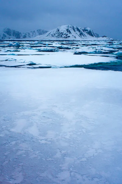 漂移的浮冰和雪峰山 阿尔伯特一世土地 斯匹次卑尔根 斯瓦尔巴 — 图库照片