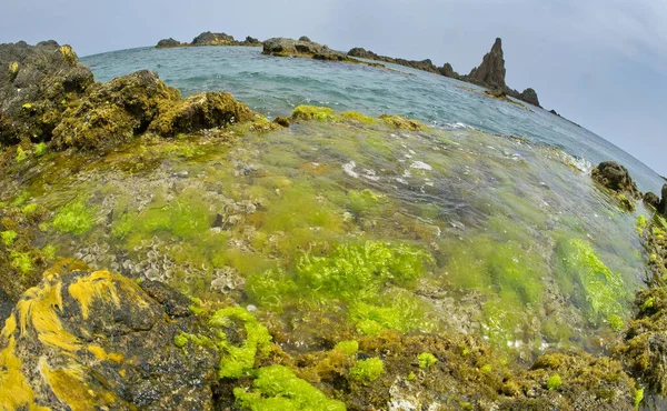 Las Sirenas Resifi, Denizkızları Resifi, Cabo de Gata-Nijar Doğal Parkı, UNESCO Biyosfer Rezervi, Sıcak Çöl İklim Bölgesi, Almerya, Endülüs, İspanya, Avrupa