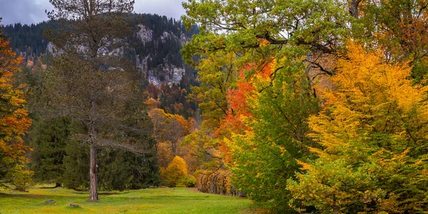 Autumn Mixed Forest View Park Linderhof Palace Βαυαρικές Άλπεις Oberammergau — Φωτογραφία Αρχείου