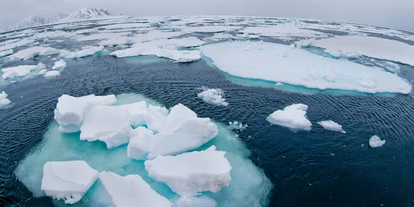 Drift Floating Ice Snowcapped Mountains Iceberg Ice Floes Albert Land — Photo