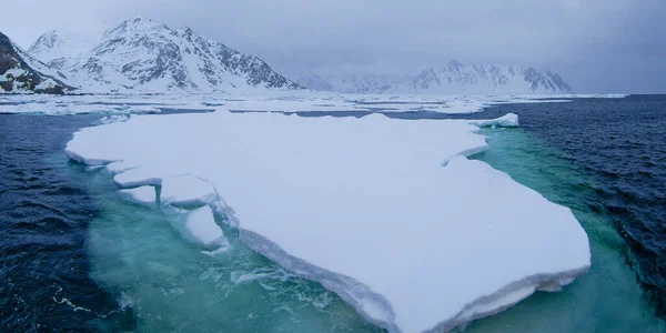 Drift Floating Ice Albert Land Arctic Spitsbergen Svalbard Noruega Europa — Fotografia de Stock