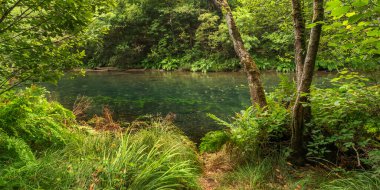 Fragas do Eume Doğal Parkı, Pontedeume, La Coruna, Galiçya, İspanya, Avrupa
