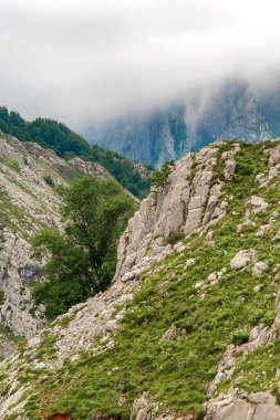 Dağ Sırası, Picos de Europa Ulusal Parkı, Asturias, İspanya, Avrupa