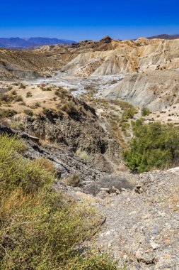 Tabernas Çölü Doğa Koruma Alanı, Sıcak Çöl İklim Bölgesi, Tabernas, Almerya, Endülüs, İspanya, Avrupa