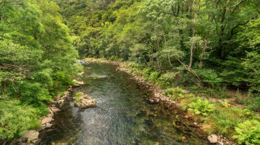 Fragas do Eume Doğal Parkı, Pontedeume, La Coruna, Galiçya, İspanya, Avrupa
