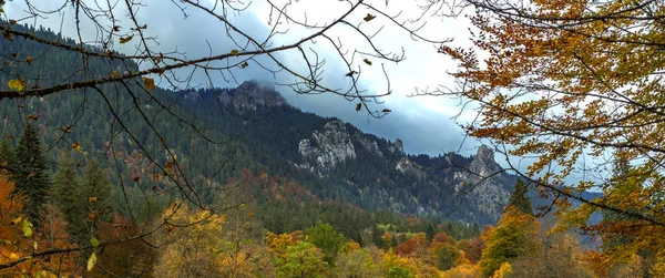 Automne Forêt Mixte Vue Parc Palais Linderhof Alpes Bavaroises Oberammergau — Photo