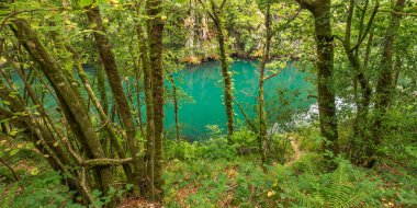 Fragas do Eume Doğal Parkı, Pontedeume, La Coruna, Galiçya, İspanya, Avrupa
