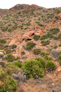 Rocky Coastline, Los Escullos, Cabo de Gata-Nijar Doğal Parkı, UNESCO Biyosfer Rezervi, Sıcak Çöl İklim Bölgesi, Almerya, Endülüs, İspanya, Avrupa