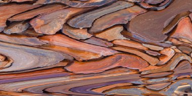 renkli soyut arkaplan tasarımı