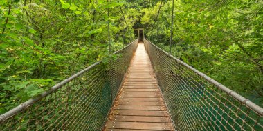 Fragas do Eume Doğal Parkı, Pontedeume, La Coruna, Galiçya, İspanya, Avrupa