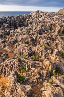 Rocky Coast, Pria Cliffs, Karst Formation, Bufones de Pria, Protected Landscape of the Oriental Coast of Asturias, Llames de Pria, Asturias, Spain, Europe
