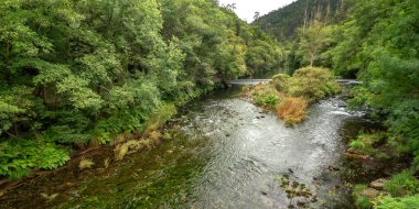 Fragas do Eume Doğal Parkı, Pontedeume, La Coruna, Galiçya, İspanya, Avrupa