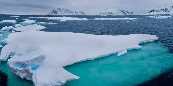 Drift Floating Ice Albert Land Arctic Spitsbergen Svalbard Noruega Europa — Fotografia de Stock