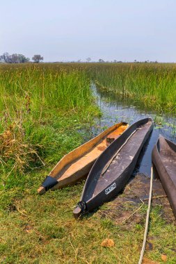 Mokoro, Dugout kanoları, Geleneksel tekne, Okavango Delta, Botswana, Afrika