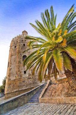 Torre del Oro, Altın Kule, Sevilla, Endülüs, İspanya, Avrupa