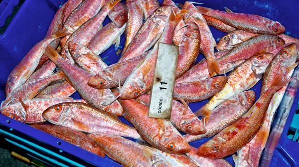 Cesti Pesce Nel Mercato Del Pesce Porto Pesca Mar Mediterraneo — Foto Stock