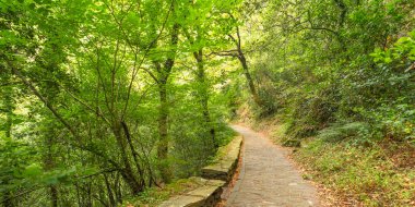 Fragas do Eume Doğal Parkı, Pontedeume, La Coruna, Galiçya, İspanya, Avrupa