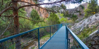 La Yecla Boğazı, Espacio Doğal de La Yecla y Sabinares del Arlanza, Korunan Doğal Alan, Burgos, Kastilya Leon, İspanya, Avrupa