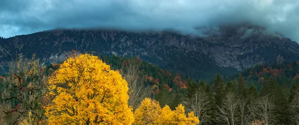 Herbst Mischwald Blick Vom Park Von Schloss Linderhof Bayerische Alpen — Stockfoto