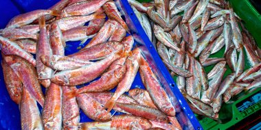 Red Mullet, Fish Market 'te balık sepeti, balıkçılık limanı, Akdeniz, Aguilas, Murcia, Murcia bölgesi, İspanya, Avrupa