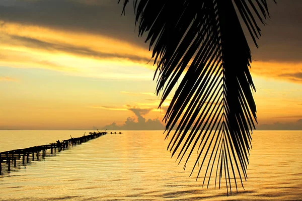 Orange Sunset and Palms, Isla de la Juventud, Caribbean Sea, Cuba, America