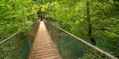 Fragas do Eume Doğal Parkı, Pontedeume, La Coruna, Galiçya, İspanya, Avrupa