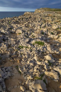 Rocky Coast, Pria Cliffs, Karst Formation, Bufones de Pria, Protected Landscape of the Oriental Coast of Asturias, Llames de Pria, Asturias, Spain, Europe