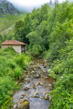 Tielve, Duje Nehri, Cabrales, Picos de Europa Ulusal Parkı, Asturias, İspanya, Avrupa Etnografik Turizm Kompleksi
