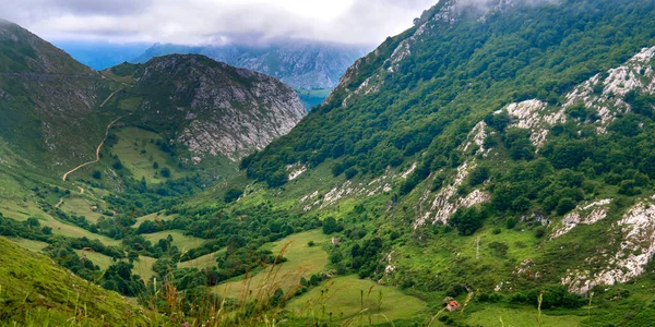 Picos Del Macizo Central Parque Nacional Picos Europa Asturias España —  Fotos de Stock