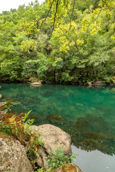 stock image Fragas do Eume Natural Park, Pontedeume, La Coruna, Galicia, Spain, Europe