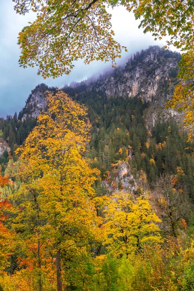 Autumn Mixed Forest Baviera Alps Hohenschwangau Fussen Ostallgau Baviera Alemanha — Fotografia de Stock