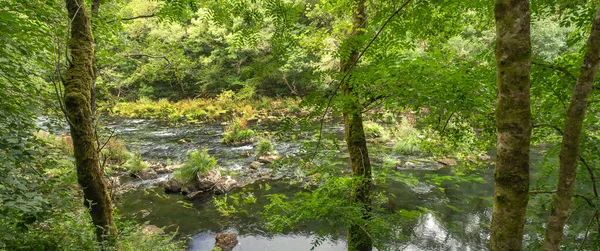 Fragas do Eume Doğal Parkı, Pontedeume, La Coruna, Galiçya, İspanya, Avrupa