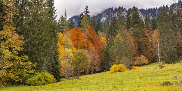 Herbst Mischwald Blick Vom Park Von Schloss Linderhof Bayerische Alpen — Stockfoto