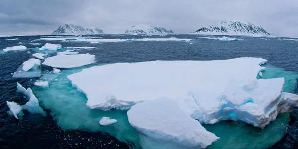 Drift Floating Ice Albert Land Artico Spitsbergen Svalbard Norvegia Europa — Foto Stock