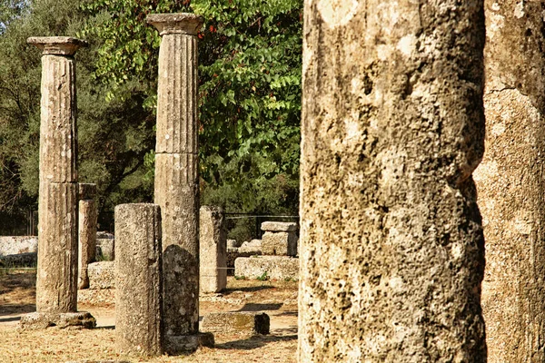 Olympia Arkeoloji Sitesi Olympia Antik Harabeleri Olympia Moreloponnese Yunanistan Avrupa — Stok fotoğraf