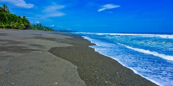 Plaża Park Narodowy Corcovado Osa Conservation Area Półwysep Osa Kostaryka Obrazek Stockowy