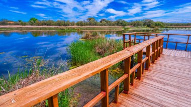 Tablolar Daimiel Ulusal Parkı, Daimiel, Ciudad Real, Castilla La Mancha, İspanya, Avrupa