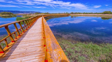 Tablolar Daimiel Ulusal Parkı, Daimiel, Ciudad Real, Castilla La Mancha, İspanya, Avrupa