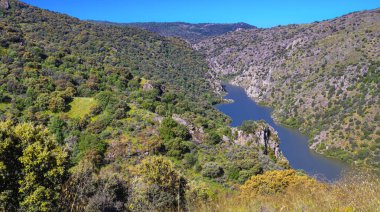 Mirador del Duero Viewpoint Yürüyüş Yolu, Arribes del Duero Doğal Parkı, SPA, SAC, Biyosfer Rezervi, Salamanca, Castilla y Leon, İspanya, Avrupa