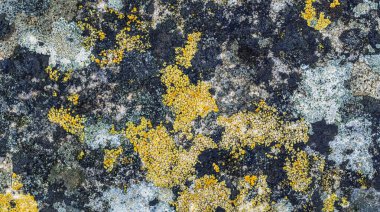 Doğal Kaya Yapısı Soyut Arkaplan Tasarımı