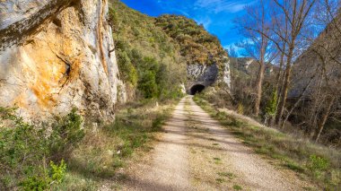 Deniz Buzu, Buzul Kıyısı 80 N, Kuzey Kutbu, Norveç, Avrupa