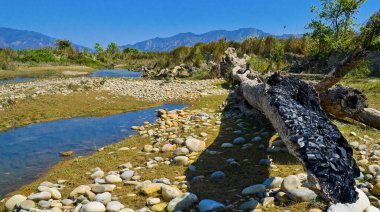 Babai River, Wetlands, Royal Bardia National Park, Bardiya National Park, Nepal, Asia clipart